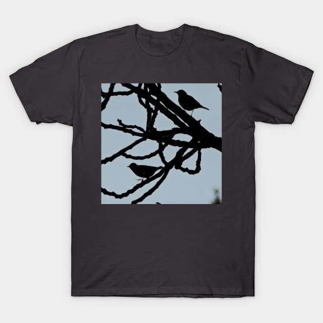 Sparrows Birds Tree Bare Branches Silhouette T-Shirt by oknoki